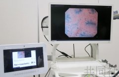 各公司利用AI的手艺